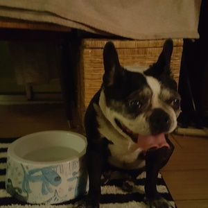 Meet your Posher, Laurel